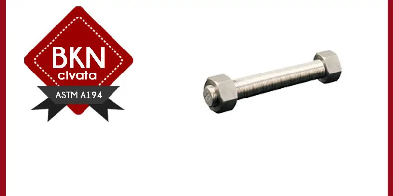 ASTM A194 SOMUNLAR