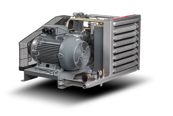 DBK Piston Buster Series
