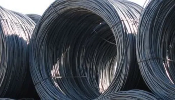 Coil