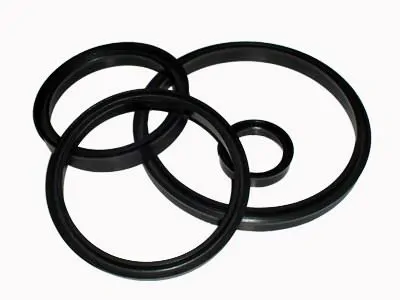 Neoprene gasket