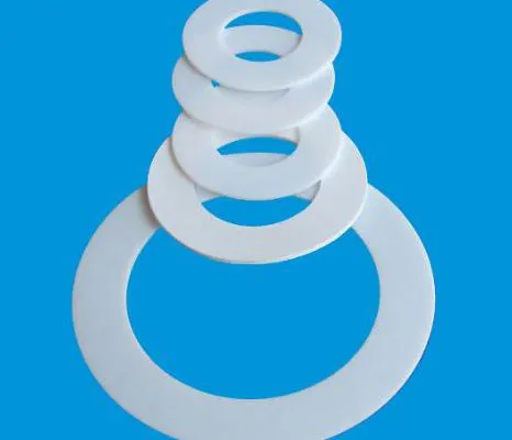 PTFE Gasket