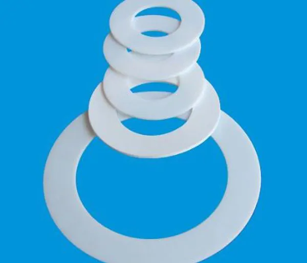 PTFE Gasket