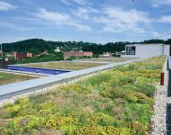 Economical Roofing Solution
