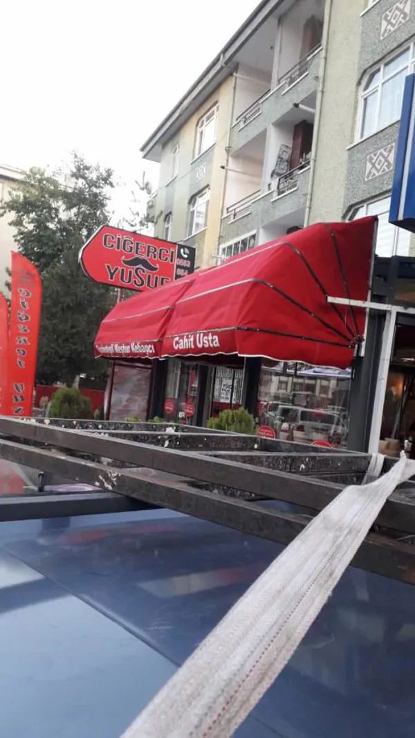 Articulated and Folding Sunshade