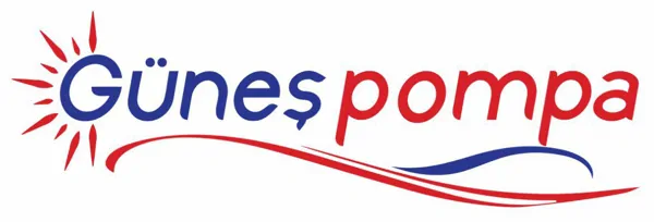 Our Services