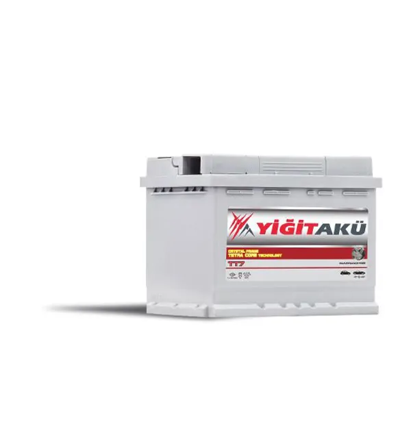 Passenger Car Batteries