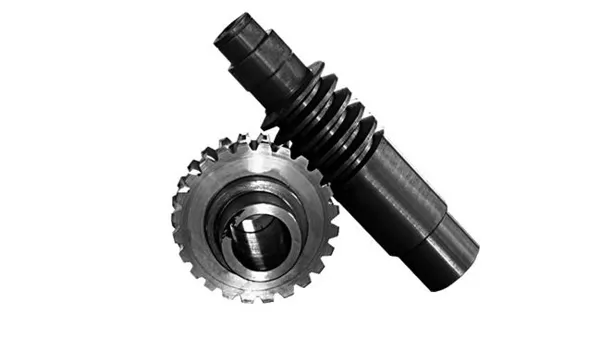 Endless Gear and Worm Screw