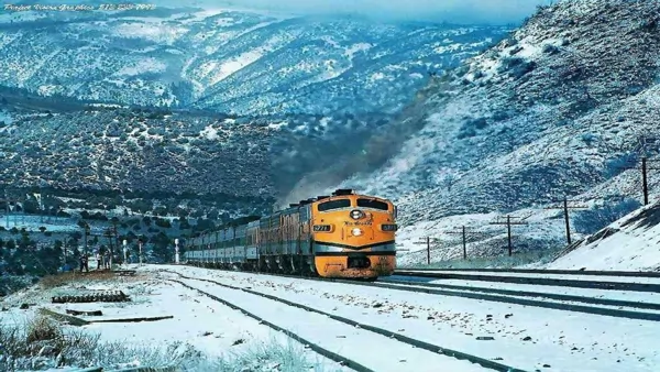 Rail Transportation