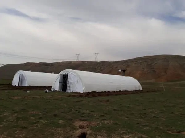 Animal Tents