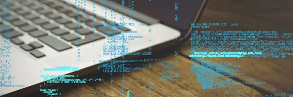 Custom Software Projects for Institutions