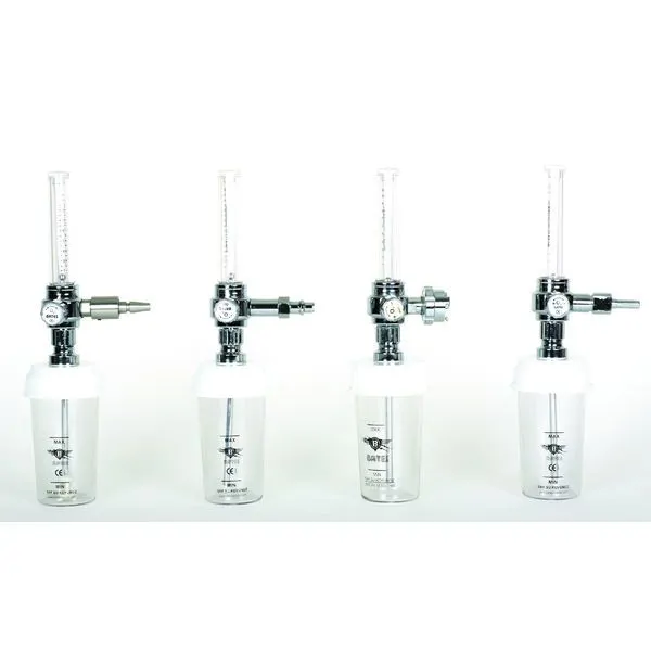 Flowmetre FLW 100