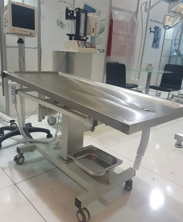 Veterinary Desk