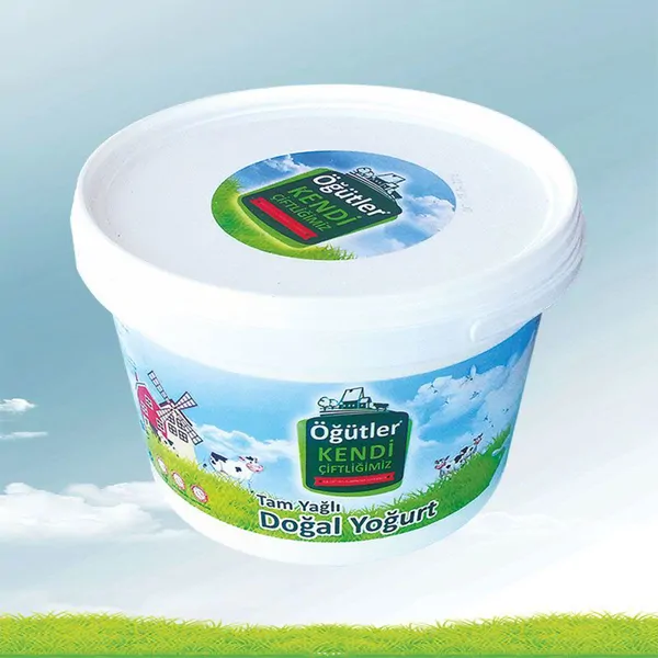 Full Fat Yogurt