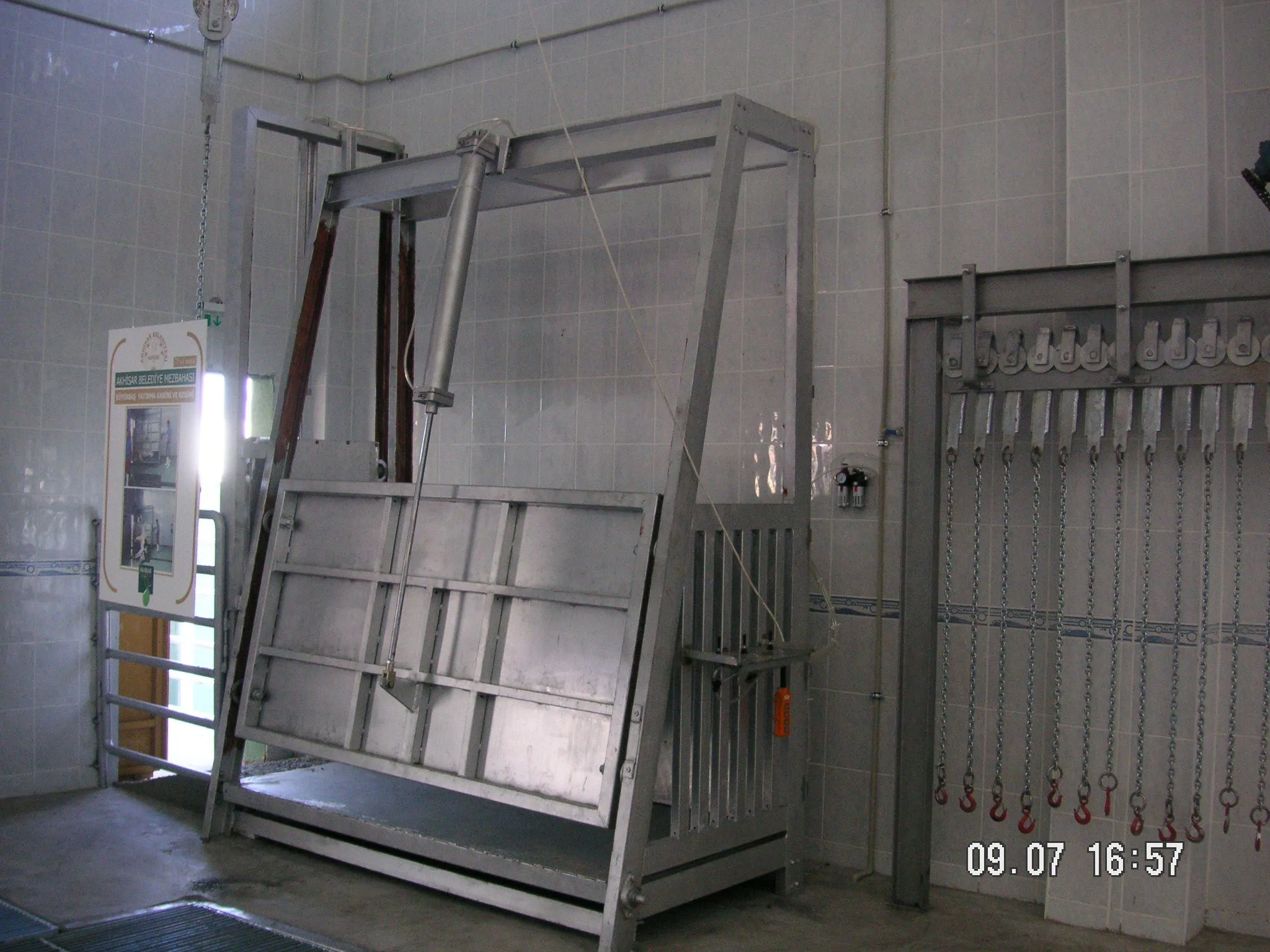 CATTLE SLAUGHTER CELL