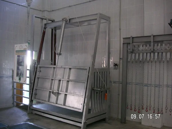 CATTLE SLAUGHTER CELL