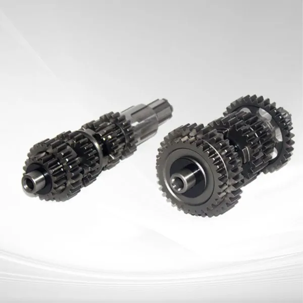 TRANSMISSION AND GEAR GROUP