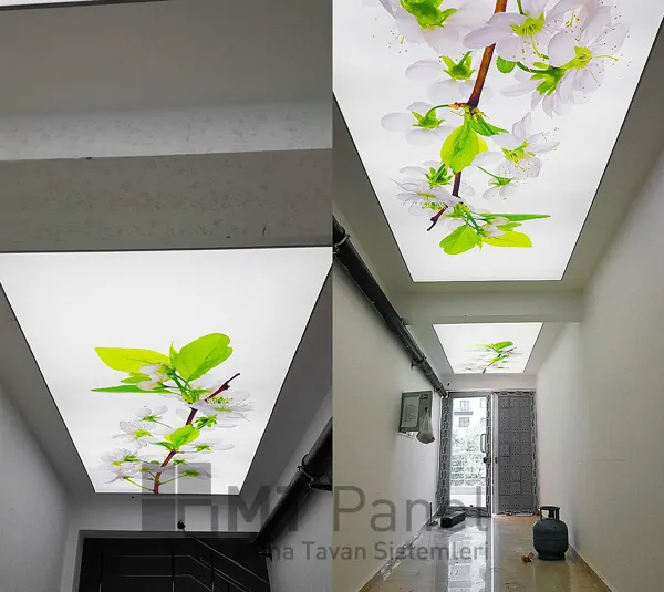 STRETCH CEILING SYSTEMS