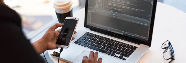 Web Software