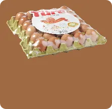 Yumurta