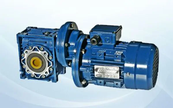 Gearbox-Motor Assembly