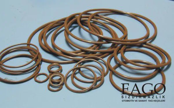 OIL SEALS