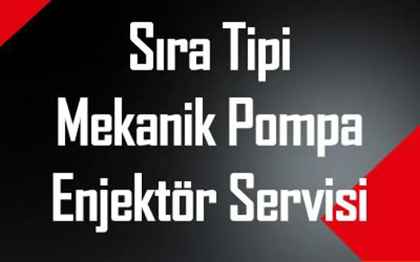 Inline Mechanical Pump and Injector Service