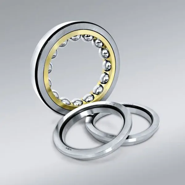 NSK Four Point Bearing