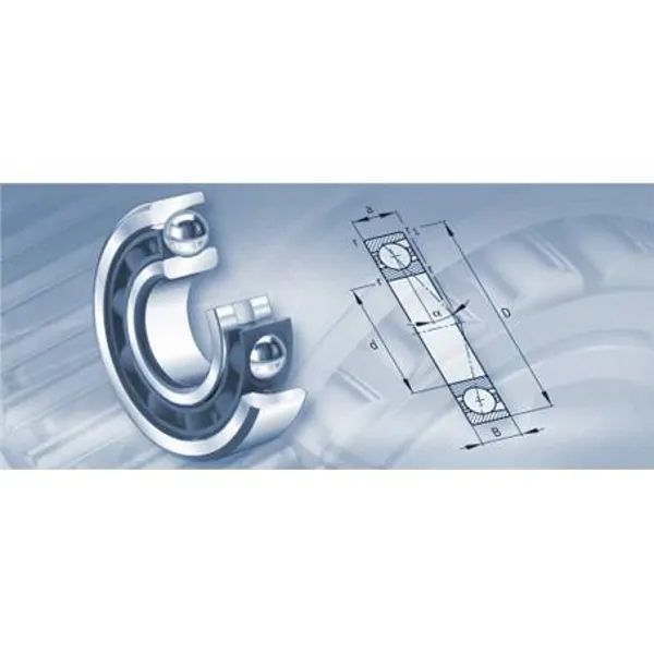 NSK Lantern Shaft Bearing