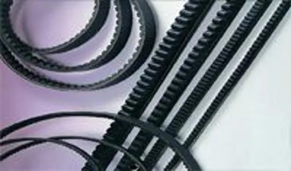 DAXTON "V" Belts