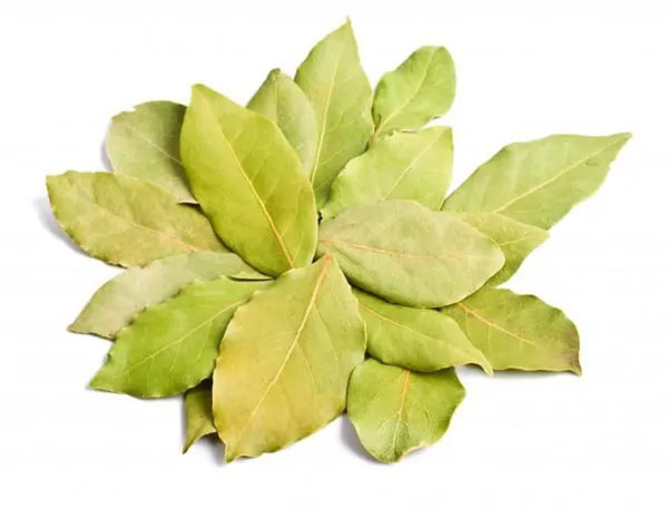 Bay Leaf Granules / Powder