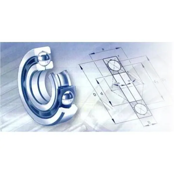 Four-Point Bearing