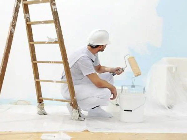 Acrylic and Silicone Exterior Paints