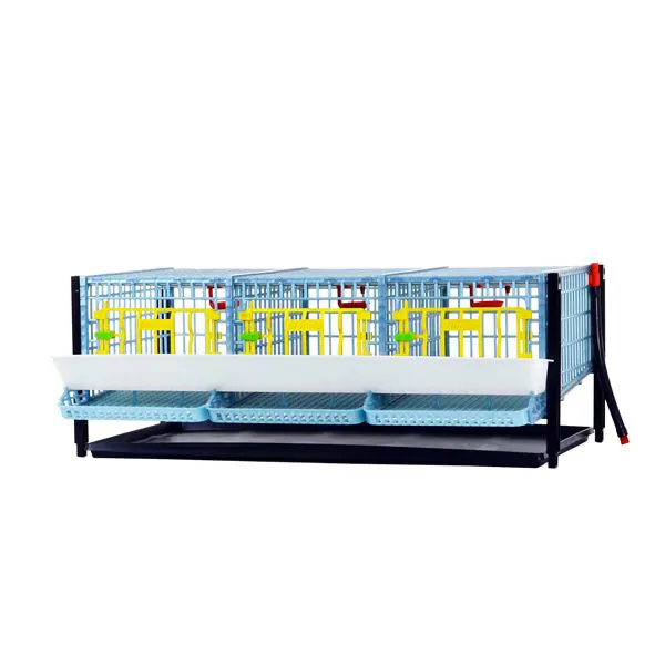Quail Cage – 3 Compartments / Additional Levels Available