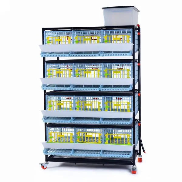 Quail Cage, 3 Compartments / 4 Tiers