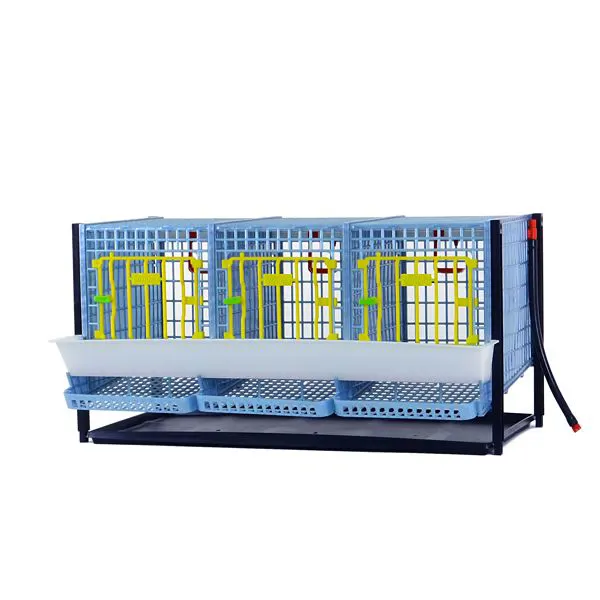 Partridge Cage – 3 compartments, additional levels
