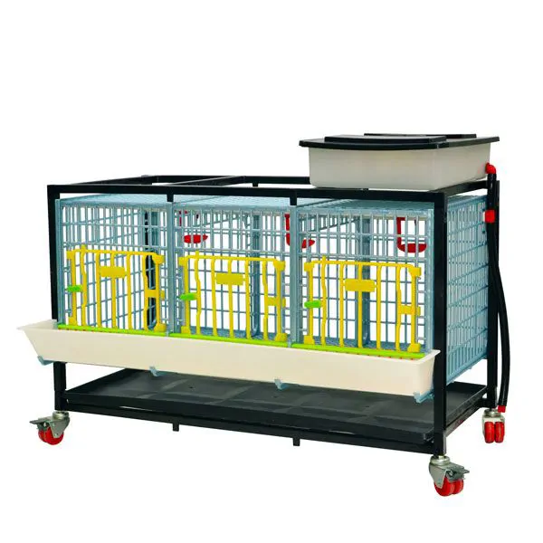 GL40 – 03 / 1-story Feeding Cage