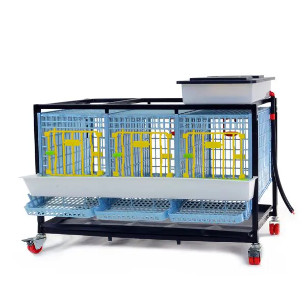 Partridge Cage – 3 compartments / 1 level