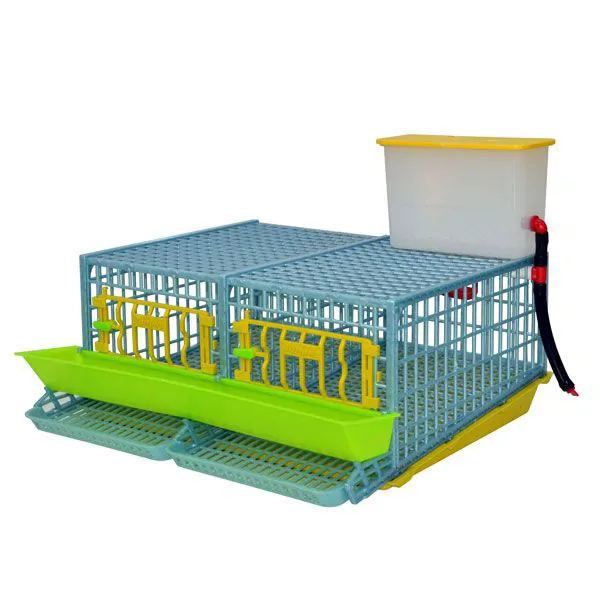 Quail Cage MIDI