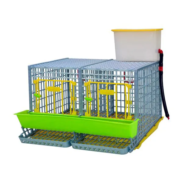 Chicken Cage – MIDI