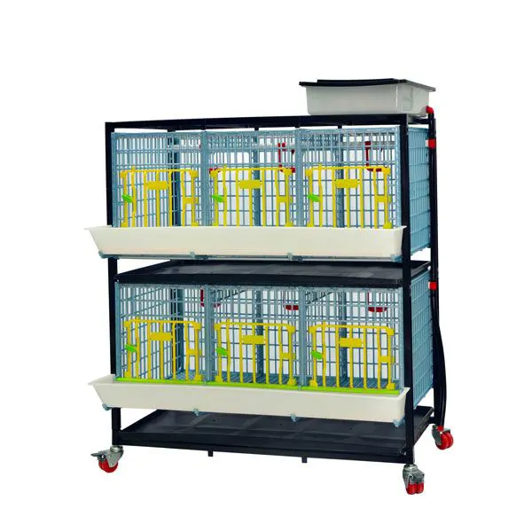 GL40 – 03 / 2-story Feeding Cage