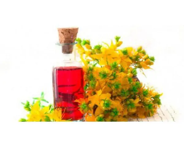 Raw Materials - 1st Quality Pure St. John's Wort Oil 1 KG