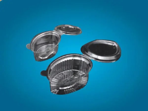 Airtight Containers for Sauce