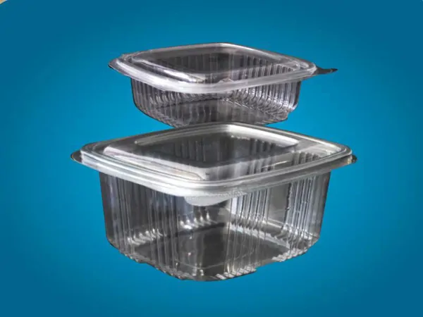 Square Leakproof Containers