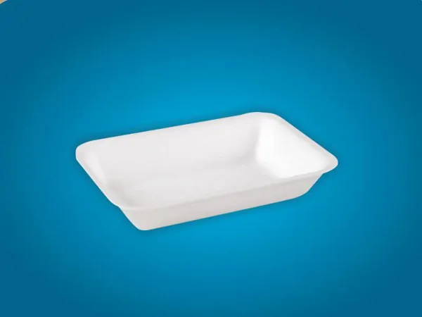 Rectangular Foam Plate