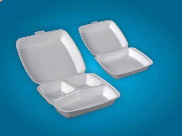 Types of Foam Containers