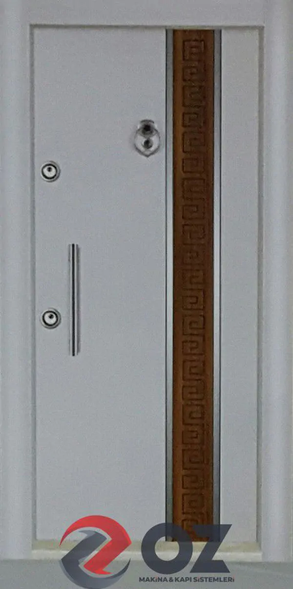 OZ Series OZ-05 Two-Color Laminox Steel Door
