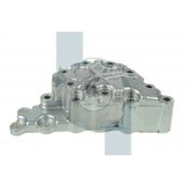 COMPLETE OIL PUMP