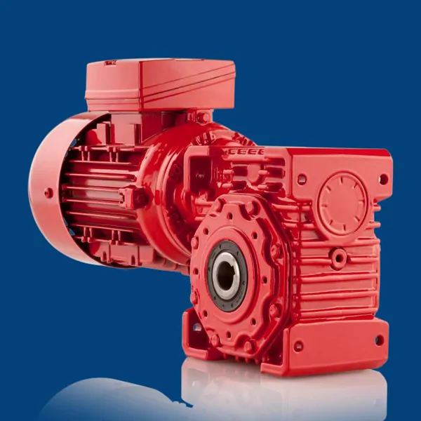 Worm Gear Reducers – (IRS Series)