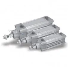 Pneumatic Cylinder Assembly