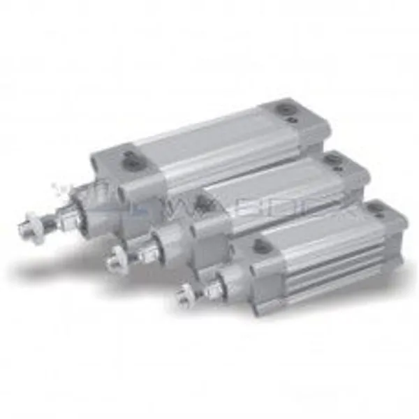 Pneumatic Cylinder Assembly